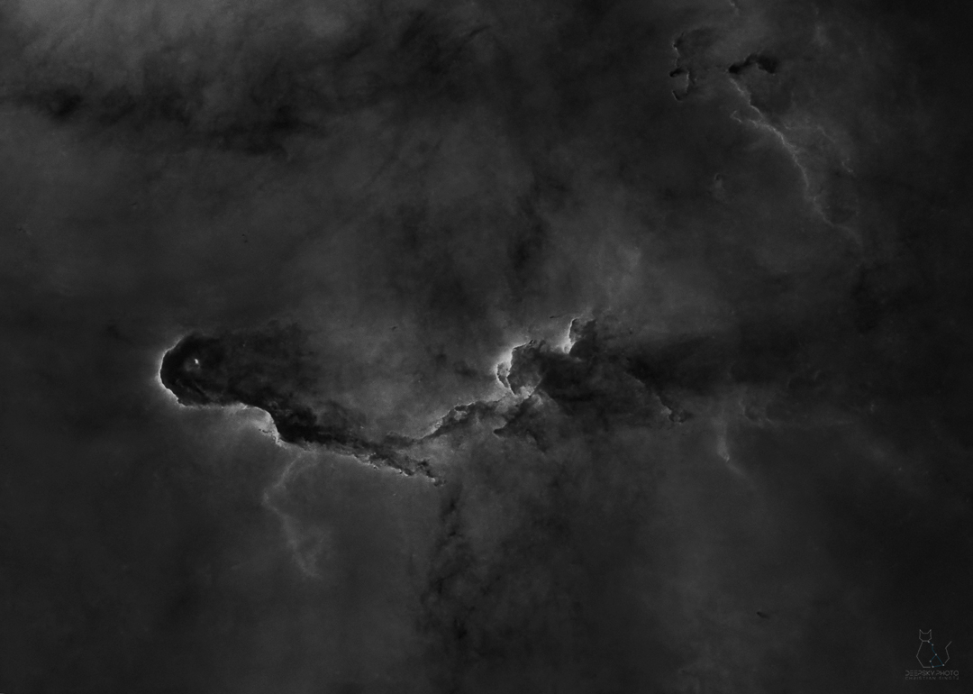 IC1396 Elephant's Trunk Nebula - Halpha signal