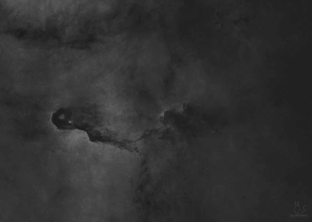 IC1396 Elephant's Trunk Nebula - OIII signal
