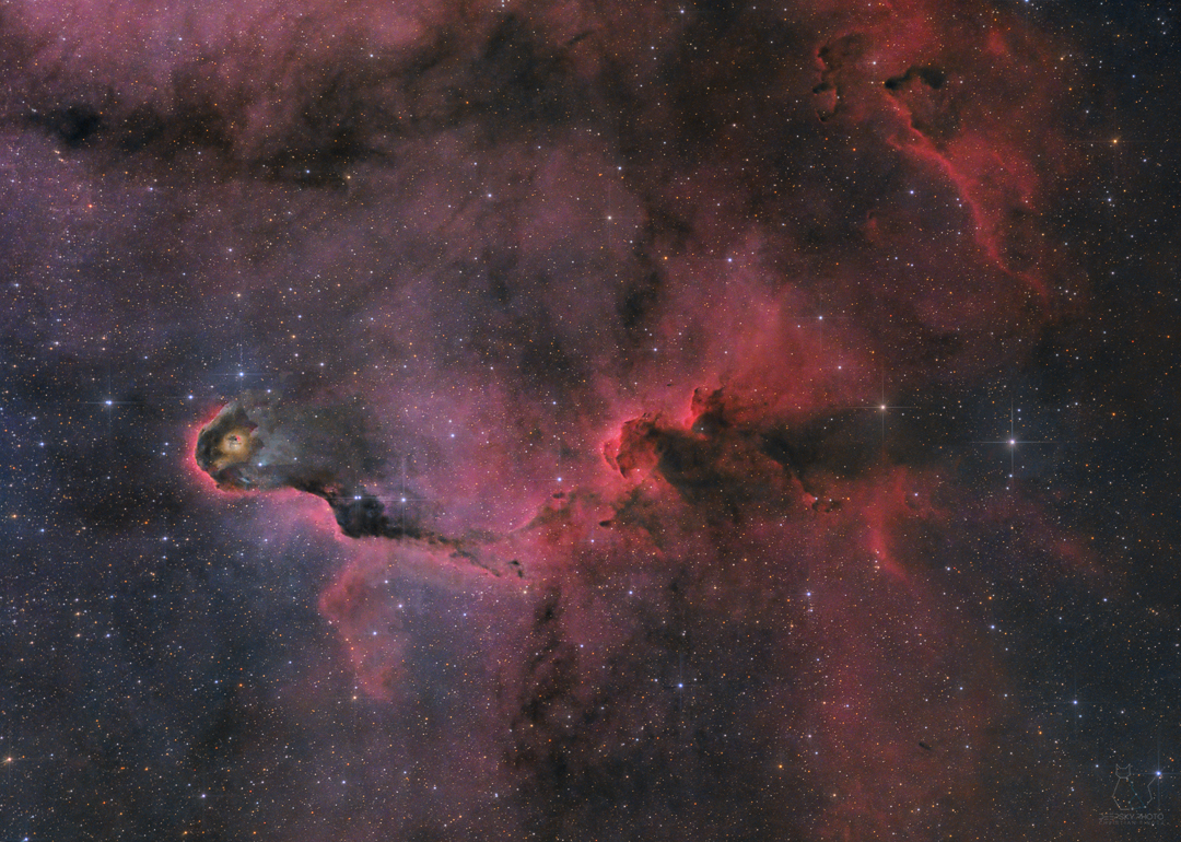 IC1396 Elephants Trunk Nebula - standard version (1080px preview)