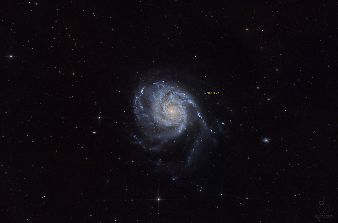 M101 Pinwheel Galaxy (SN2023ixf) - standard version