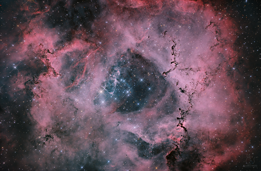 NGC2239 Rosette Nebula - standard version
