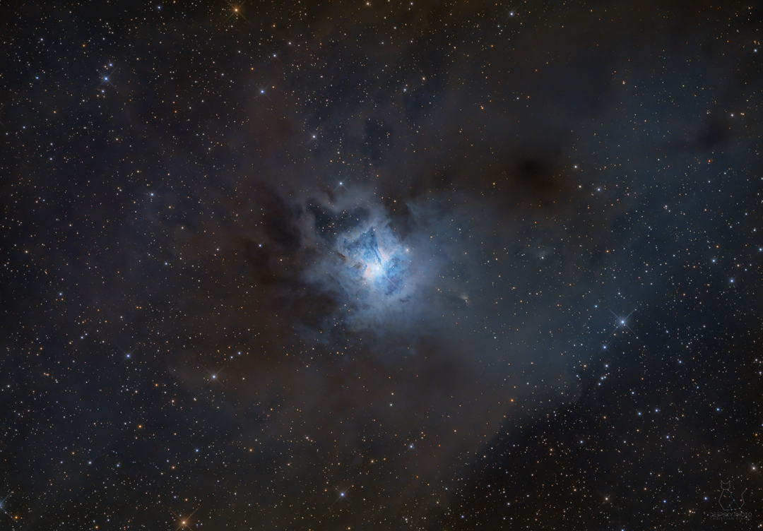 NGC7023 Iris Nebula - standard version